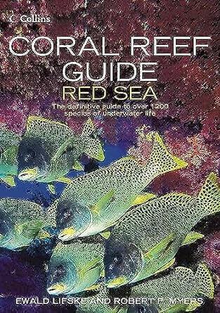 Coral Reef Guide Red Sea