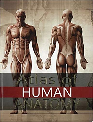 ATLAS OF HUMAN ANATOMY