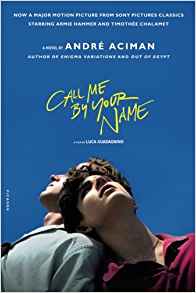 Call Me by Your Name: A Novel