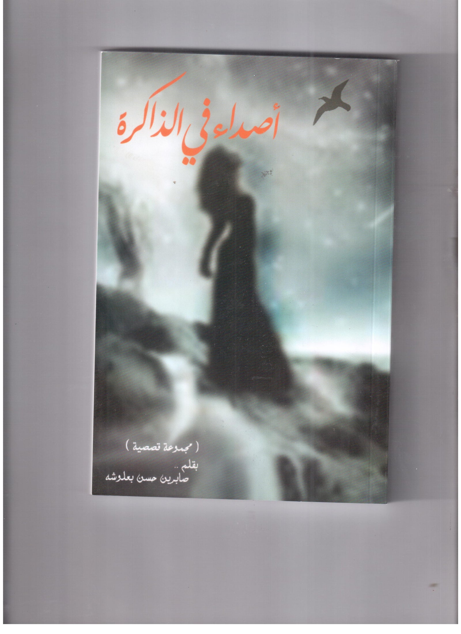 اصداء في الذاكرة