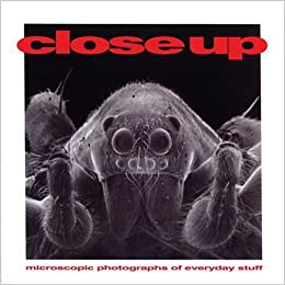 Close Up: Microscopic photographs of everyday stuff